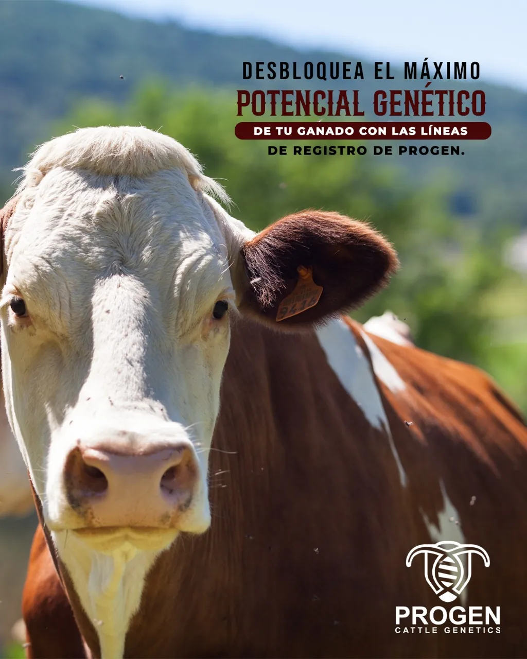 Genética de Calidad