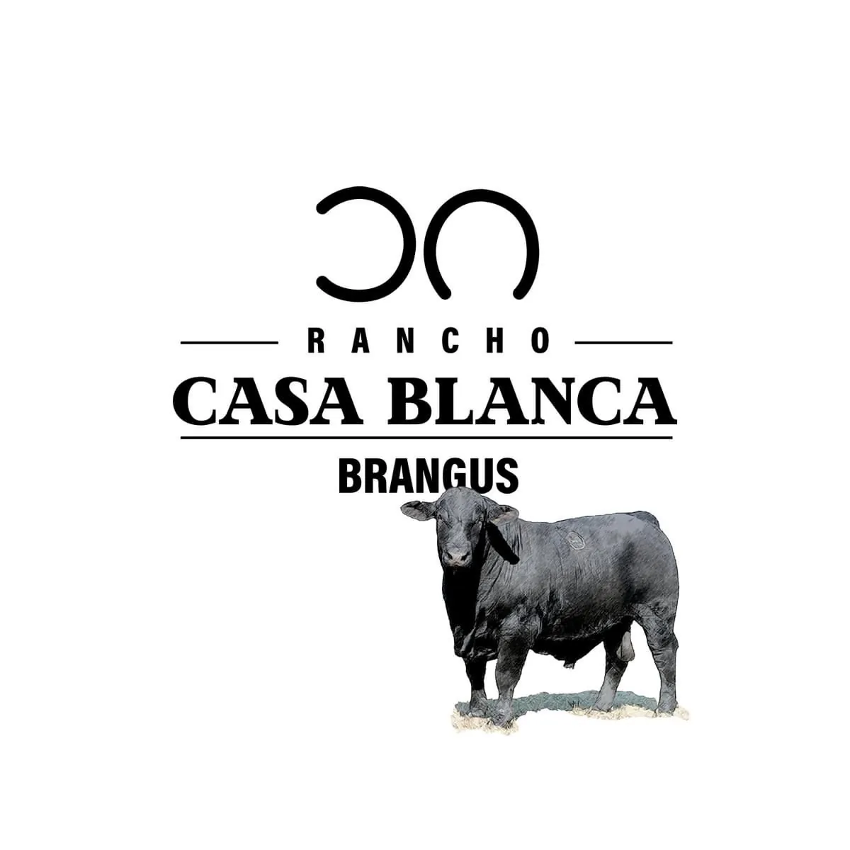 Logo Rancho Casa Blanca